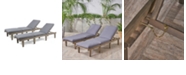 Noble House Ariana Outdoor Chaise Lounge, Set of 2